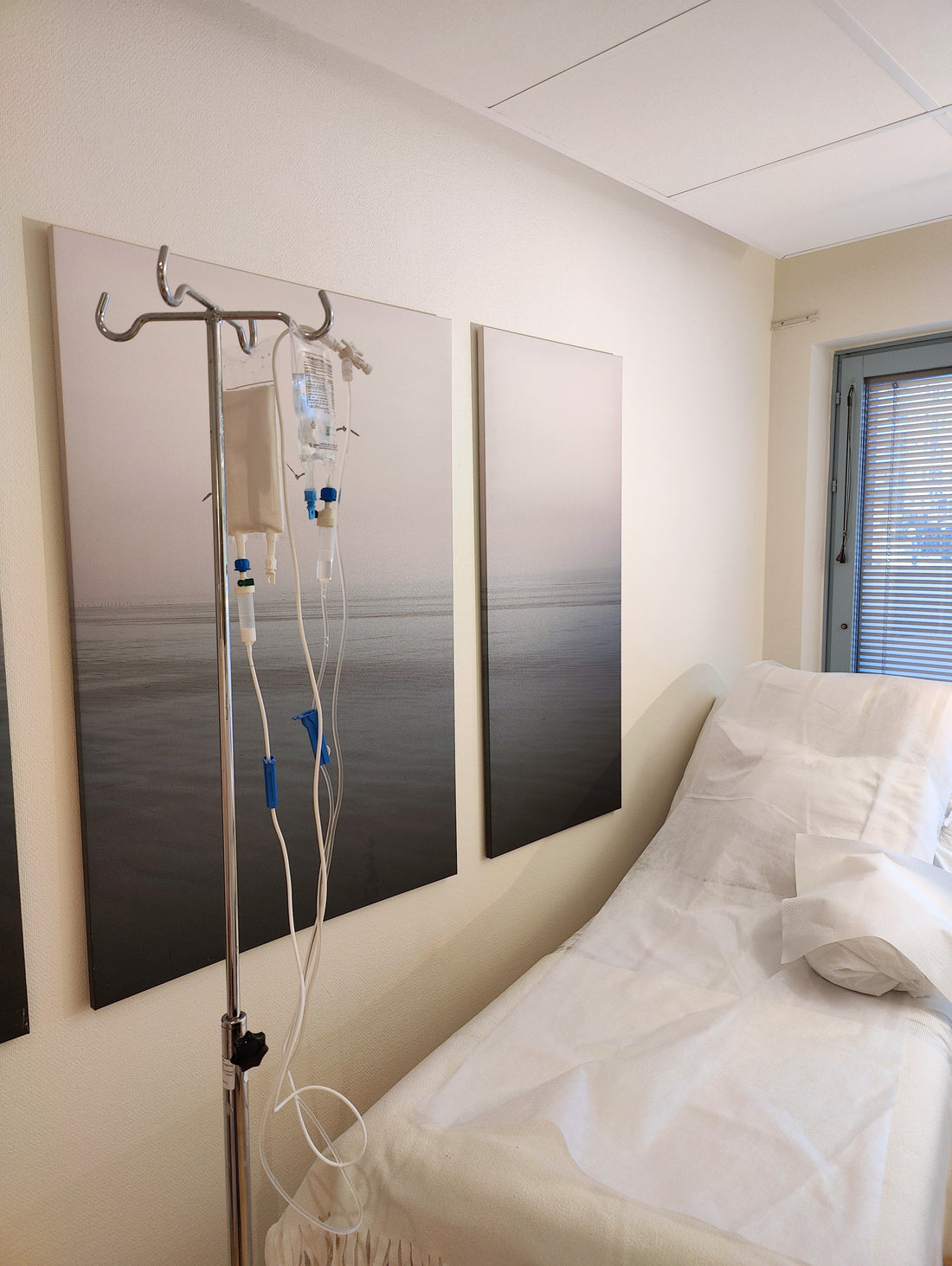Immunförsvar och Fertilitet