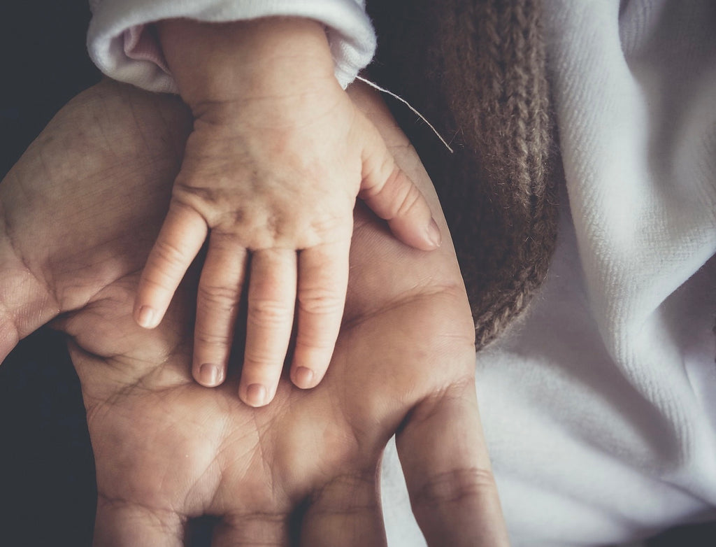Liten barnhand vilar i en vuxens handflata