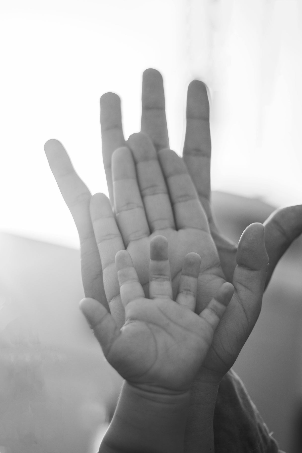 Svartvit bild av en vuxen hand och en bebis hand mot varandra